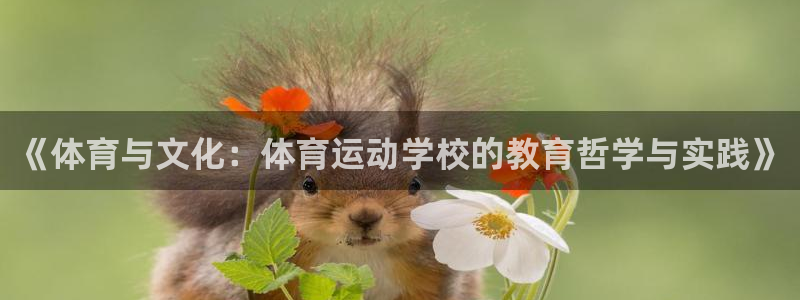 雨燕足球直播免费直播：《体育与文化：体育运动学校的教育哲学与实践》