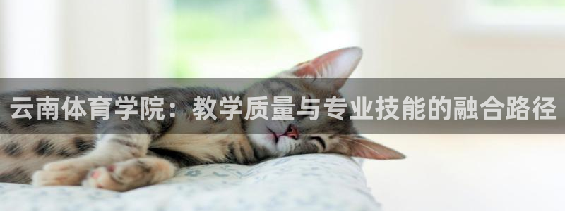 雨燕足球直播免费直播：云南体育学院：教学质量与专业技能的融合路径