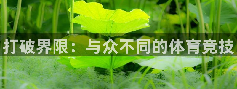 光速体育雨燕：打破界限：与众不同的体育竞技