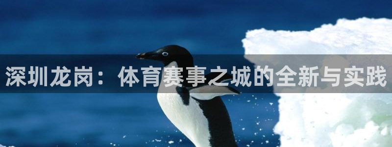 雨燕nba直播：深圳龙岗：体育赛事之城的全新与实践