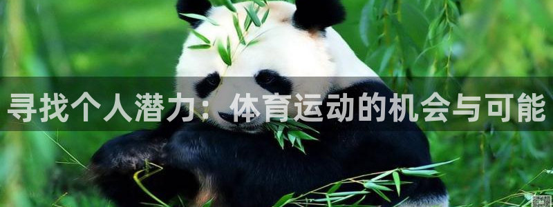 雨燕360体育：寻找个人潜力：体育运动的机会与可能