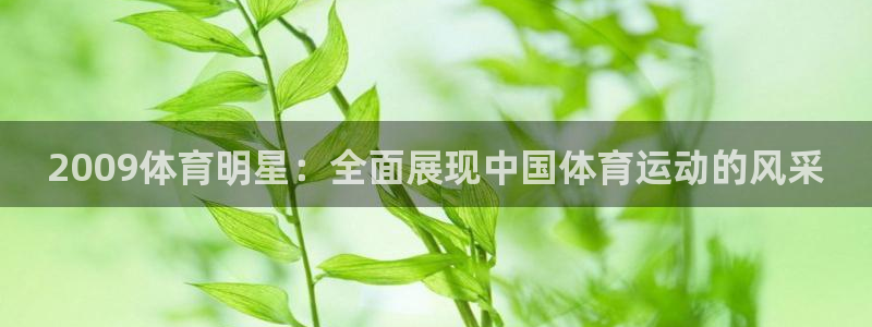 雨燕 体育：2009体育明星：全面展现中国体育运动的风采