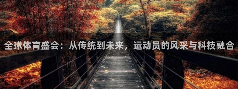 鲸鱼体育雨燕：全球体育盛会：从传统到未来，运动员的风采与科技融合