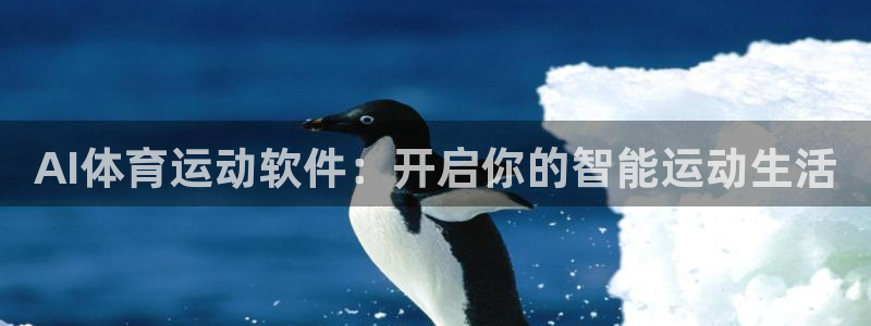 雨燕足球直播：AI体育运动软件：开启你的智能运动生活