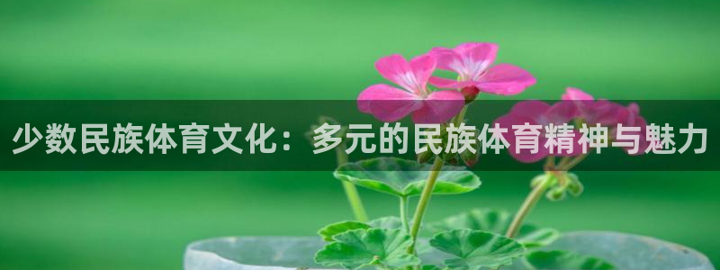 雨燕欧冠直播：少数民族体育文化：多元的民族体育精神与魅力