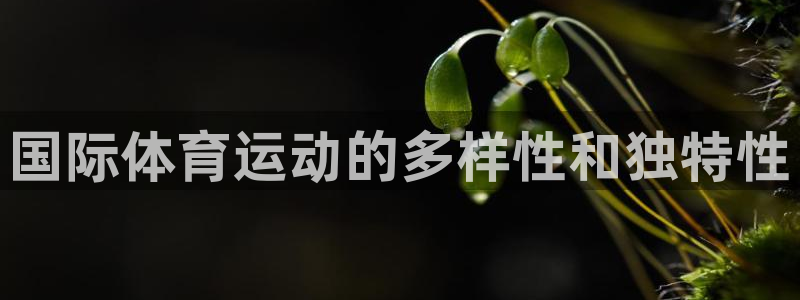 雨燕nba直播：国际体育运动的多样性和独特性