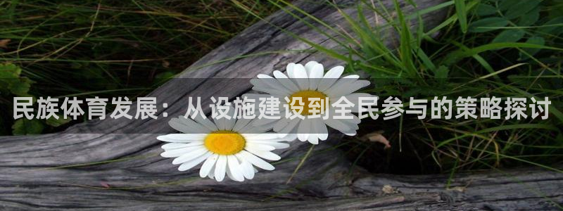 雨燕usb接口图解：民族体育发展：从设施建设到全民参与的策略探讨